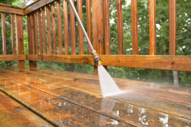 Best Roof Power Washing Services  in Coon Rapids, MN